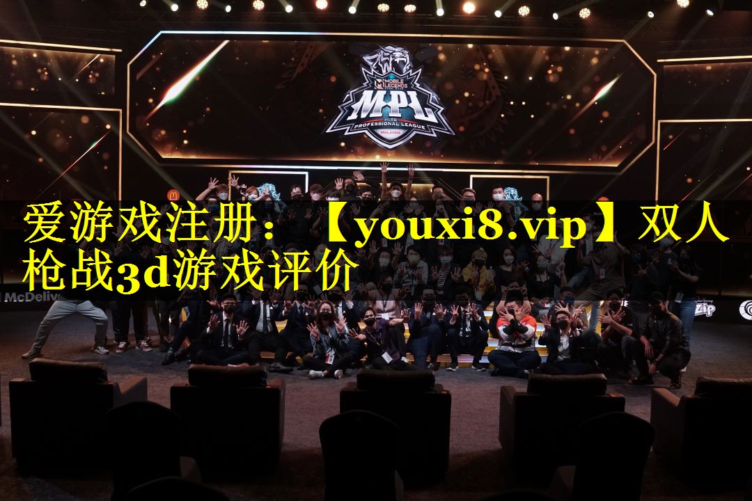 双人枪战3d游戏评价