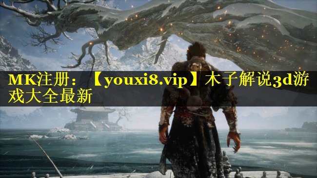 木子解说3d游戏大全最新
